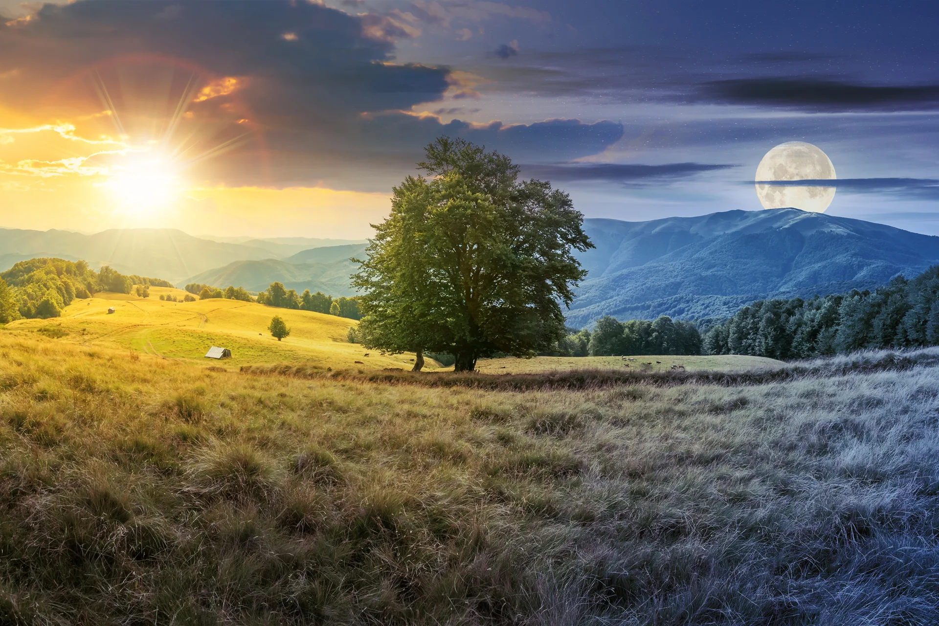 do-jakich-zyskow-1920-1280 do jakich zysków prowadzą cię twoje straty