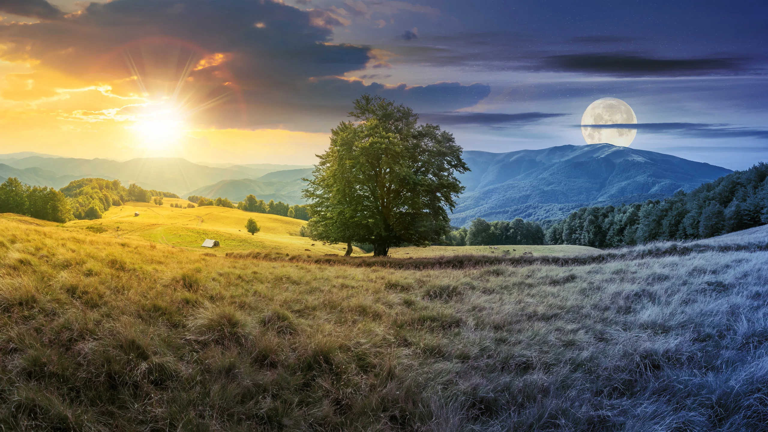 do jakich zysków prowadzą cię twoje&nbsp;straty